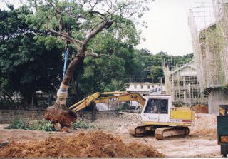 重建工程進行中